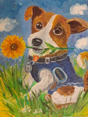 315450412_541643731306905_3934734053642999347_n