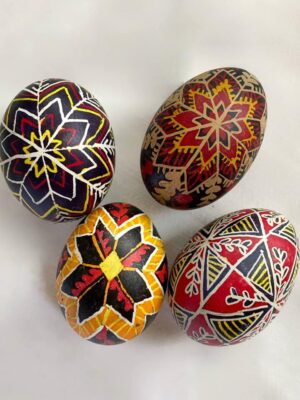 346279633_1378376052949226_4669390779638964873_n