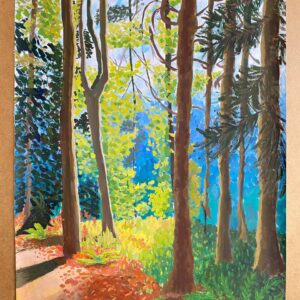 476777262_1113543164116956_5368638264784645681_n