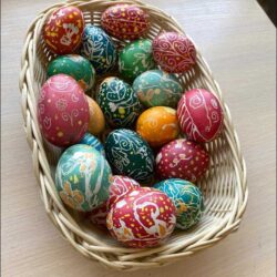 486693249_1172830754854863_6386162333030173652_n